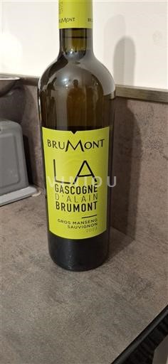 Zuidwest-Frankrijk Côtes de Gascogne Brumont La Gascogne d'Alain Brumont Niet-geïntegreerd