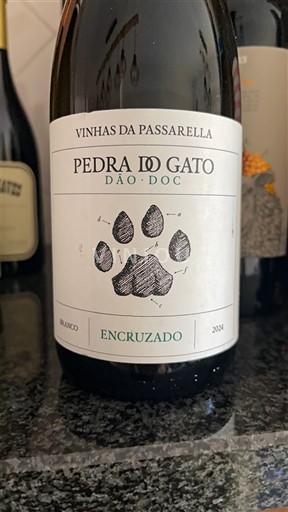 Portugali Dão Vinhas da Passarella Pedra do Gato 2024