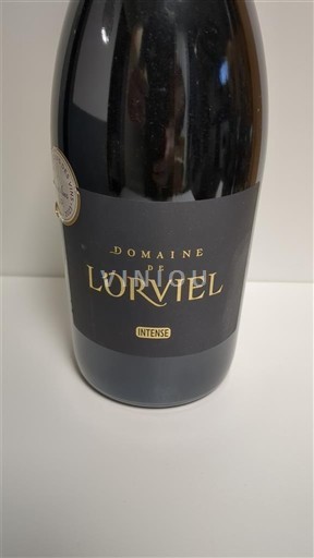 Languedoc und Roussillon Cévennen Domaine L'Orviel Intense 2020
