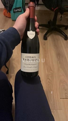 Bourgogne Bourgognebackar Les Héritiers de Jadot Grande Cadole 2023