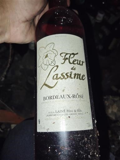 Bordeaux Bordeaux rosato Lassime Fleur de Lassime Senza annata