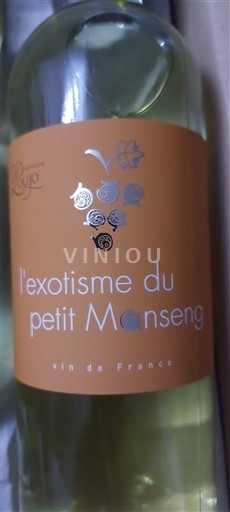 Sud-Ouest Domaine Pujol l'exotisme du petit Manseng 2024