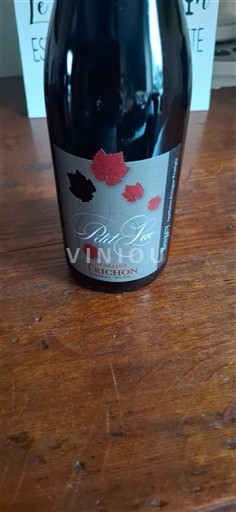 Savoyen und Bugey Bugey Domaine Trichon Petit Lac Ohne Jahrgang