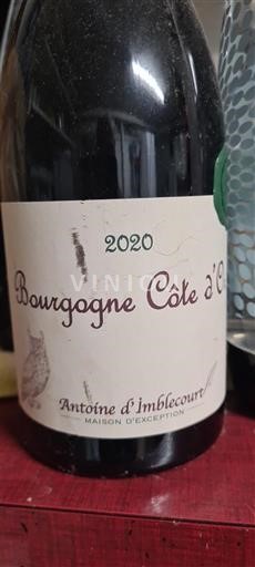 Burgundy Burgundy Côte d'Or Antoine d'Imblecourt 2020