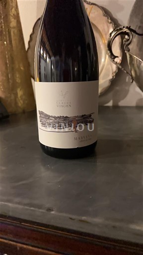 Bourgogne Gevrey-chambertin Domaine S Varoilles Masson 2023