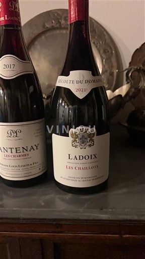 Burgundy Ladoix Domaine Gaston et Pierre Ravaut Les Chaillots 2021