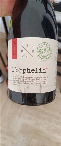 Sud-Ouest Don Bosco l'orphelin 2020