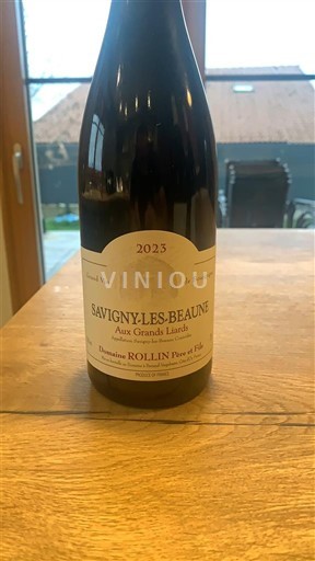 Burgundy Savigny-lès-Beaune Domaine Rollin Père & Fils Aux Grands Liards 2023