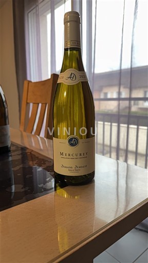 Bourgogne Mercurey Domaine André Delorme 2020