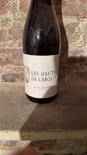 Languedoc-Roussillon Hérault Domaine La Terrasse d'Elise Les hauts de Carol’s 2021