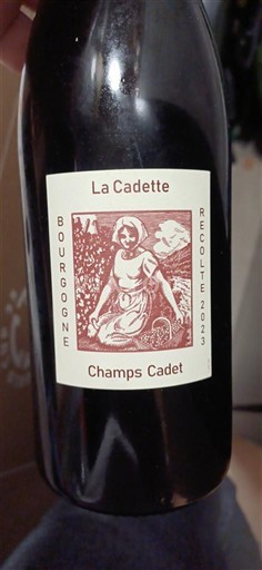 Burgundi La Cadette Champs Cadet 2023