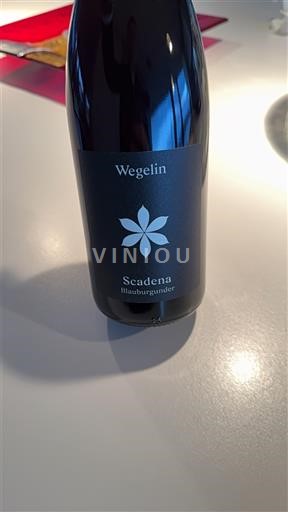 Grisons (Graubünden) Bündner Herrschaft Wegelin Scadena 2020