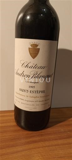Bordeaux Saint-Estèphe Château Andron Blanquet Cru bourgeois 1995