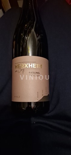 Falcko Falc. Weingartengenossenschaft Herxheim am Berg Riesling trocken 2020