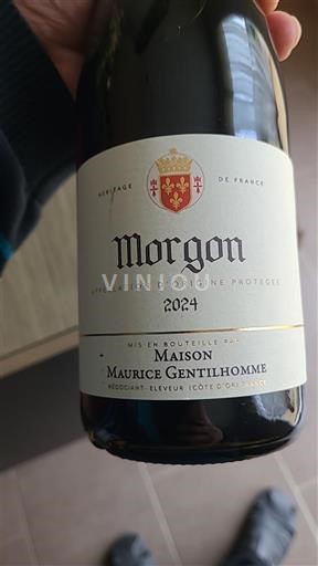 Beaujolais Morgon Maison Maurice Gentilhomme 2024
