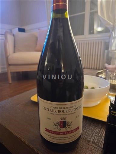 Bourgogne Bourgognebackar Guyot de Fratange Cœur de Jeannette 2022