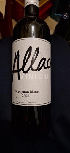 Burgenland Allacher Sauvignon blanc 2022