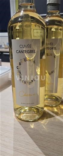 Zuidwest-Frankrijk Côtes de Gascogne Cantegrel Cantegrel Niet-geïntegreerd