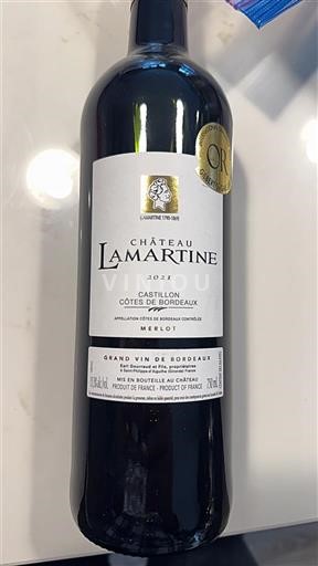 Bordeaux Castillon-côtes-de-bordeaux Château Lamartine 2021
