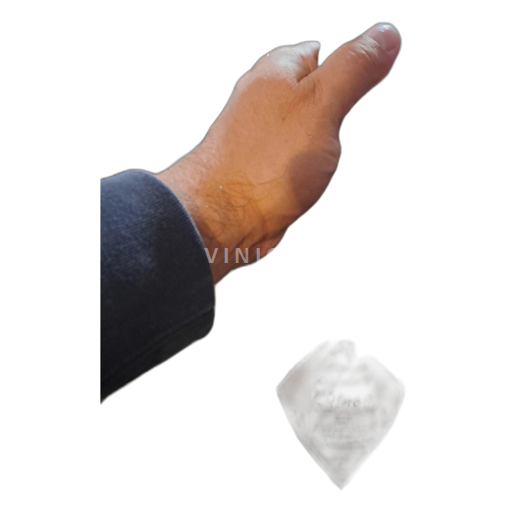 Vallée de la Loire Chinon Domaine la Jalousie 2021