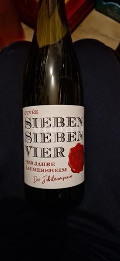 Falcko Falc. Château Knipser, Lichti, Mario Zelt, Roob, Phillipp Kuhn, Steffen Zelt, Vier Jahreszeiten Sieben Sieben Vier - 1250 Jahre Laumersheim 2023