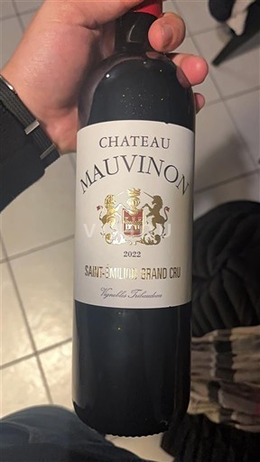 Bordeaux Saint-Émilion Grand Cru Grand Cru Château Mauvinon 2022