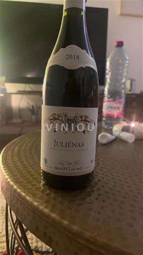 Beaujolais Juliénas Benoît Laforest Le Trésor 2018