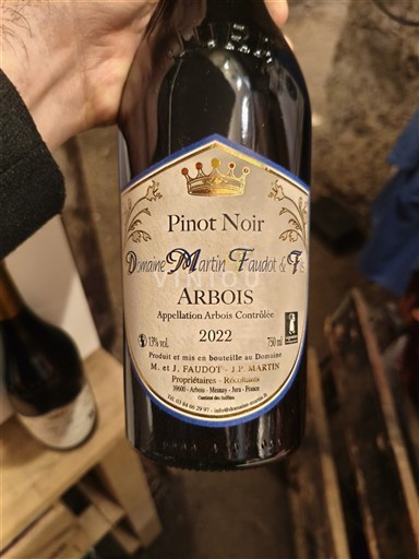 Jura Arbois Domaine Martin Faudot & Fils 2022