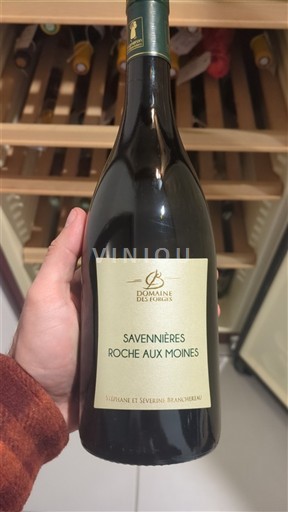 Vallée de la Loire Savennières-roche-aux-moines Domaine S Forges Roche aux Moines 2022