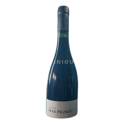 Sud-Ovest Mas Pignou 2020
