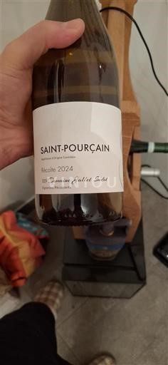 Dolina Loare Saint-Pourçain Domaine Julien Sabot 2024