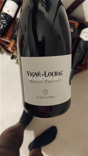 Sudoeste Côtes del Tarn Vigné-Lourac Merlot Prestige Sin añada