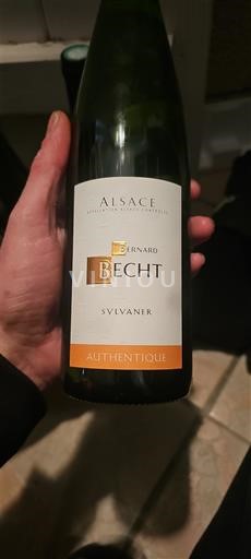 Elsass Château Bernard Becht Sylvaner Authentique 2019