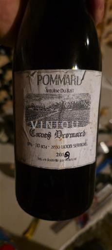 Borgoña Pommard Antoine Du Bail Caves Dromard 2019