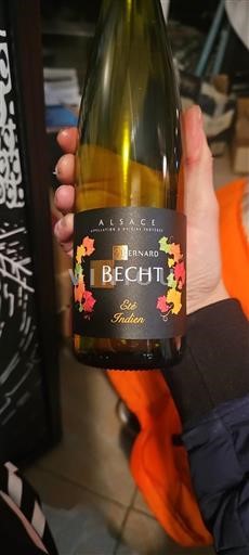 Elsass Château Bernard Becht Lés Indién 2020
