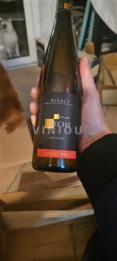 Elsass Château Bernard Becht Riesling vendanges tradives 2015