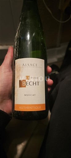 Alsace Không được chỉ định Château Bernard Becht Muscat Authentique 2019