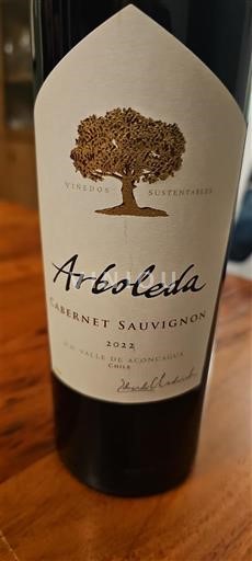 Weine Rouge sec Arboleda 2022 Chile Rapel-Tal Colchagua-Tal