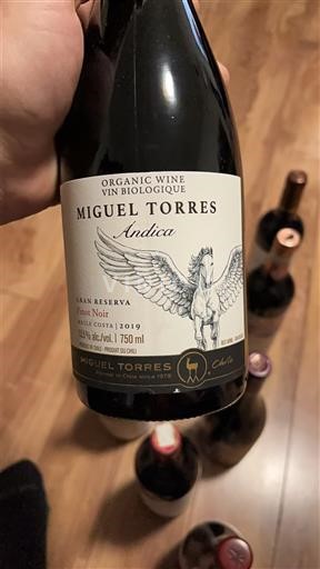 Casablancavallei Miguel Torres Andica 2019