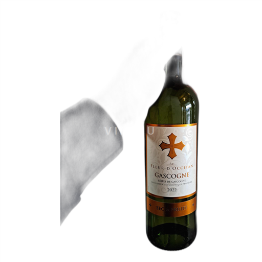 Sydväst Côtes de Gascogne La Fleur d'Occitan 2022