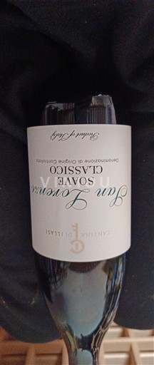 Vêneto Não especificado Cantina di Illasi San Lorenzo Soave Classico 2024