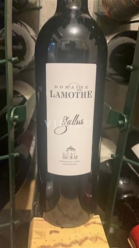 Lounais-Ranska Côtes-de-duras Domaine Lamothe Gallus 2023