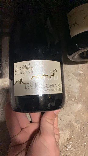 Valle del Loira Savennières Loïc Mahé Les Fougeraies 2019