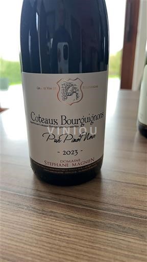 Burgundy Coteaux Bourguignons Domaine Stéphane Magnien Pur Pinot Noir 2023