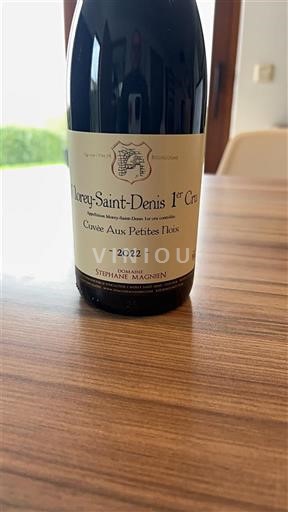Burgundy Unspecified Premier Cru Domaine Stéphane Magnien Aux Petites Noix 2022