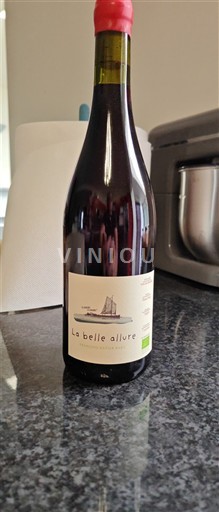 Loire-dalen Saint-Nicolas-De-Bourgueil Domaine Sébastien David La Belle Allure 2024