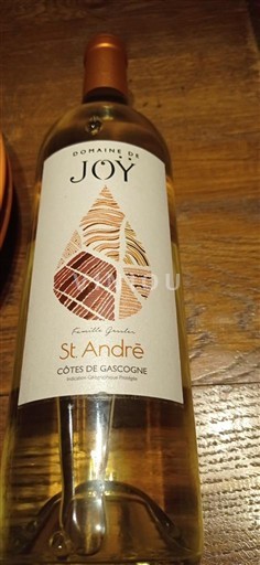 Sudoeste Côtes de Gascogne Domaine Joy St André Não Sazonado