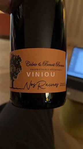 Dolina Loare Saint-Pourçain Cédric & Benoit Bonvin Nos Racines 2022