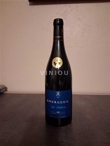 Valle del Loira Bourgueil Domaine Nau Les blottiéres 2017