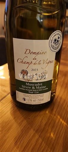 Loire-dalen Muscadet-Sèvre-et-Maine Domaine Champ de la Vigne 2023